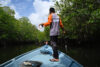 Reading the Mangroves through a Fisher's Experience